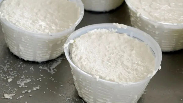 Quel est l’équipement de base pour faire son fromage à la maison?
